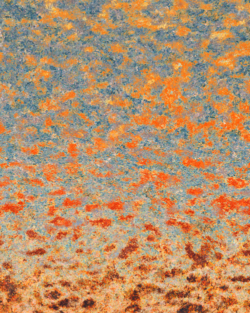 Item #29000085 Media