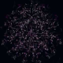 Orchids #304