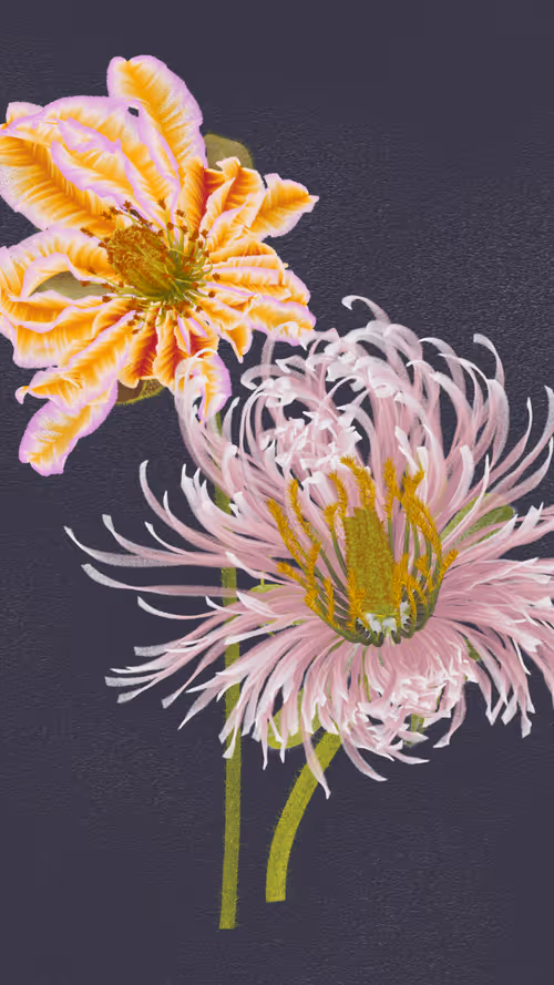 Item #66000039 Media