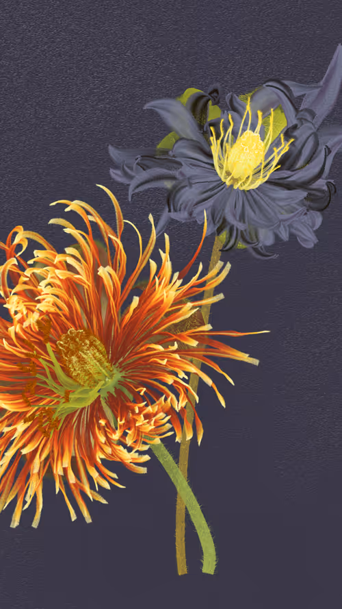 Item #66000048 Media