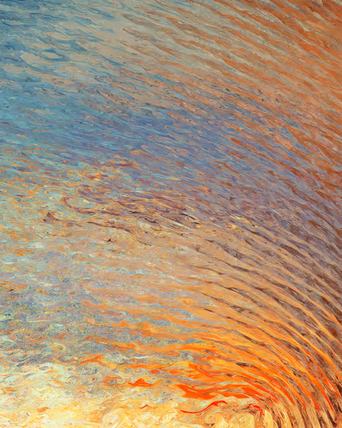 Item #29000081 Media