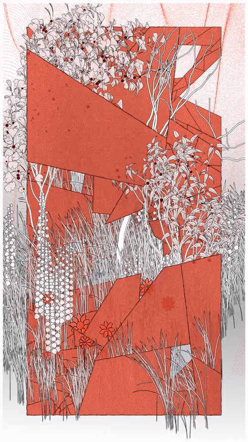 Item #52000087 Media