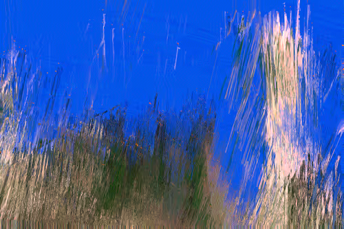 Item #70000017 Media