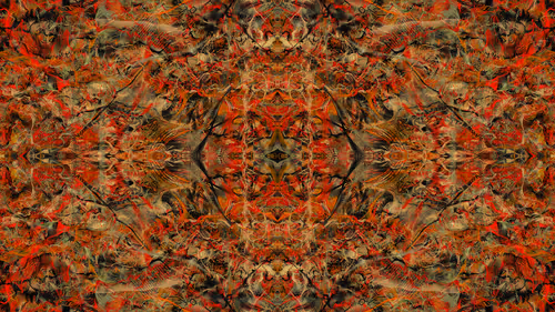 Item #21000057 Media