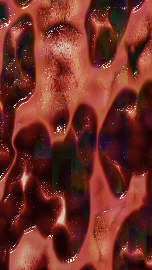 Item #67000062 Media