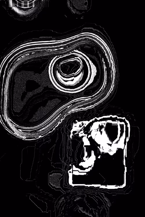 Item #49000088 Media