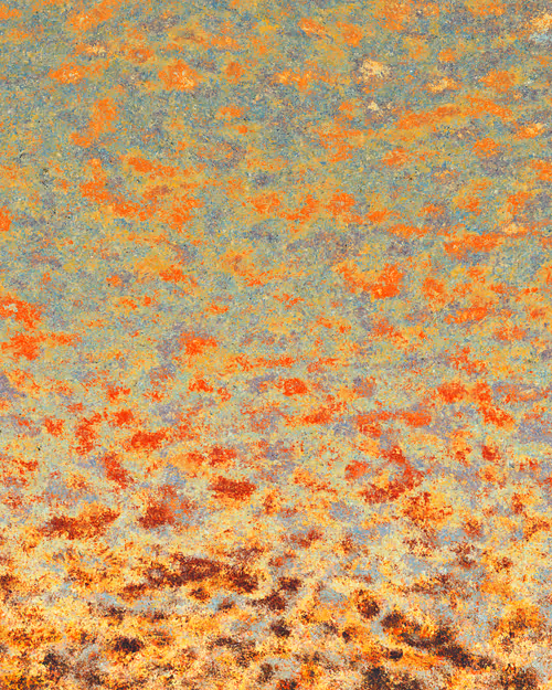 Item #29000019 Media