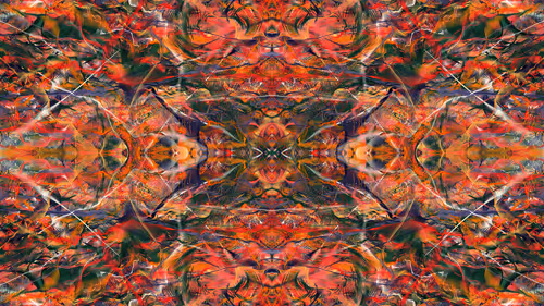 Item #21000045 Media