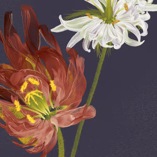 Delirium Blooms #30