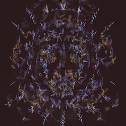 Orchids #253