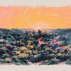 Sunset from the Bluffs #61
