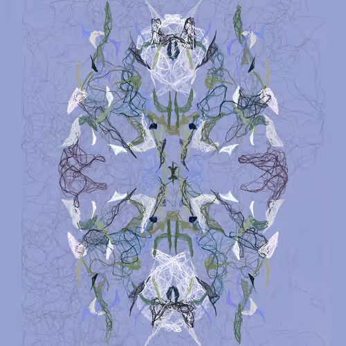 Orchids #292