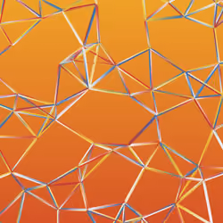 Network C #43