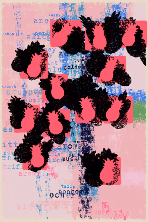 Item #79000002 Media