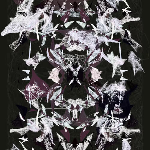 Orchids By Luke Shannon