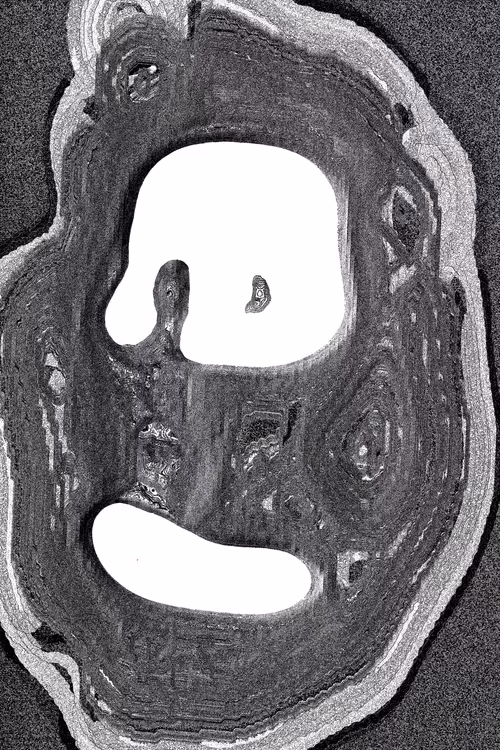 Item #49000087 Media