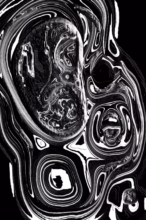 Item #49000035 Media