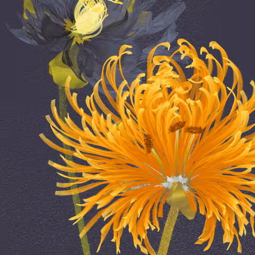 Delirium Blooms By Leonardo Solaas