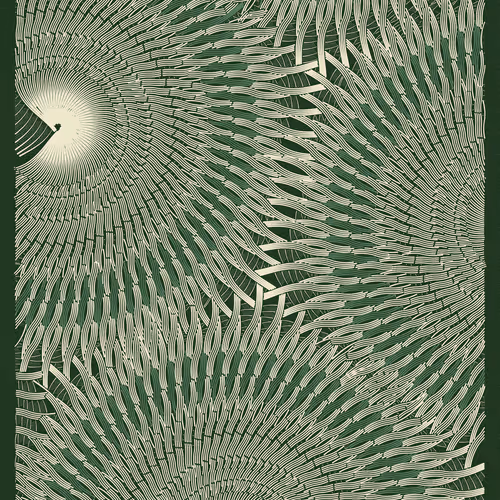 Intricada #29