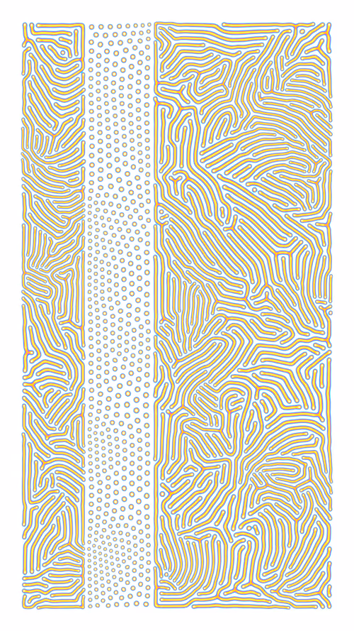 Item #50000047 Media