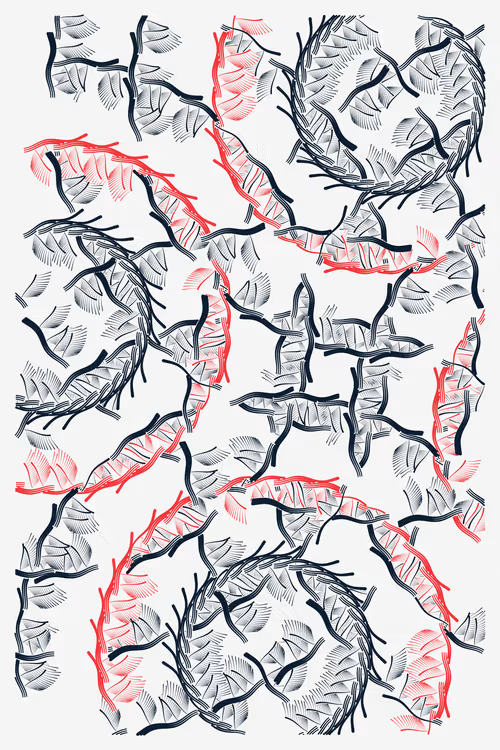 Item #37000081 Media