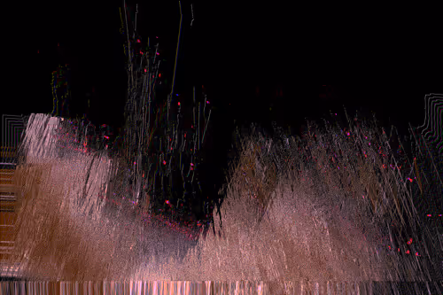 Item #70000048 Media