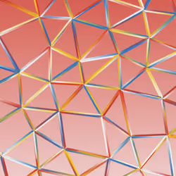 Network C #51