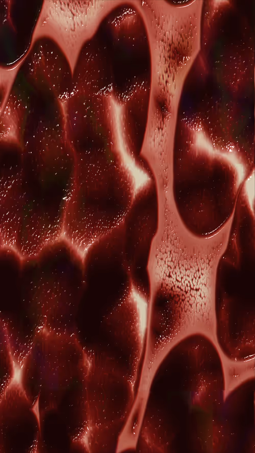 Item #67000061 Media