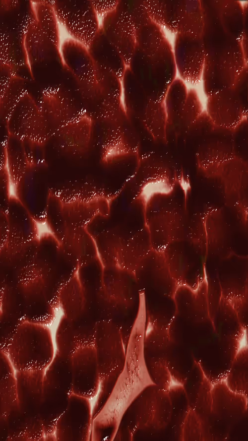 Item #67000060 Media