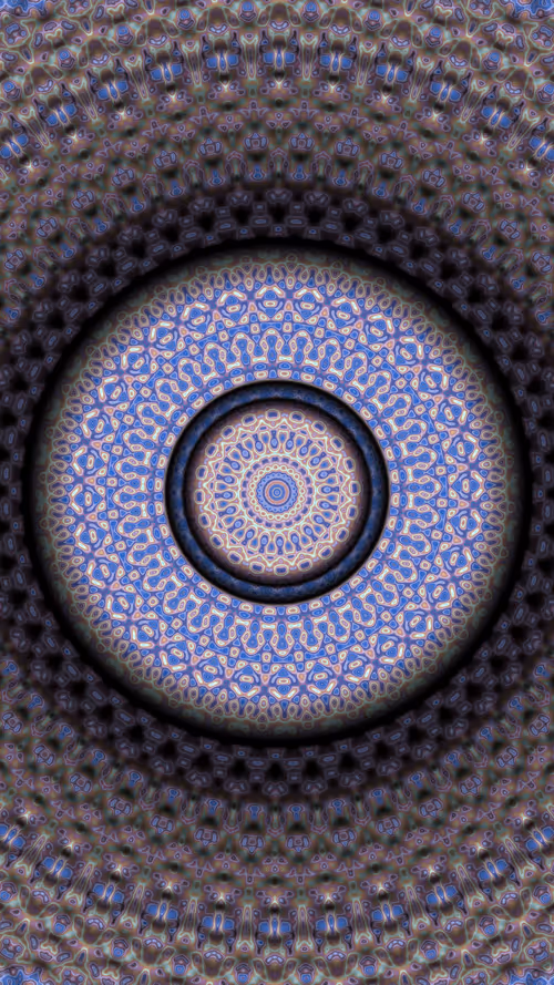 Item #38000081 Media