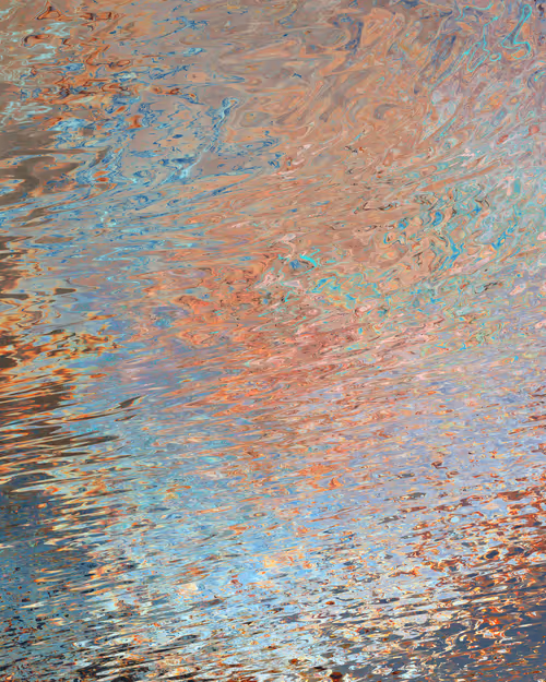 Item #29000064 Media