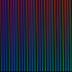 43000052