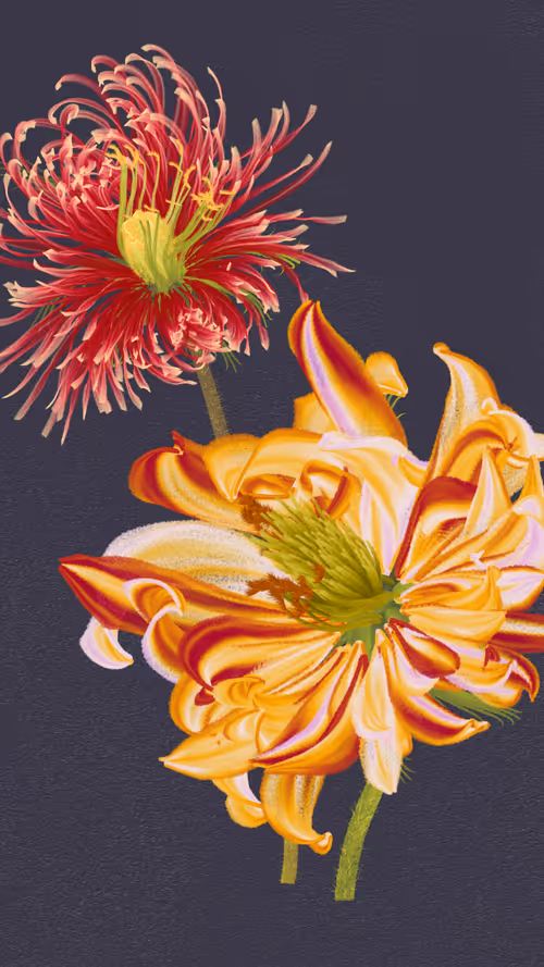 Item #66000052 Media