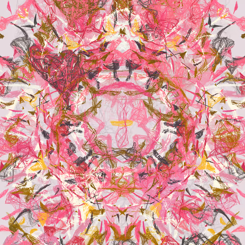 Orchids By Luke Shannon