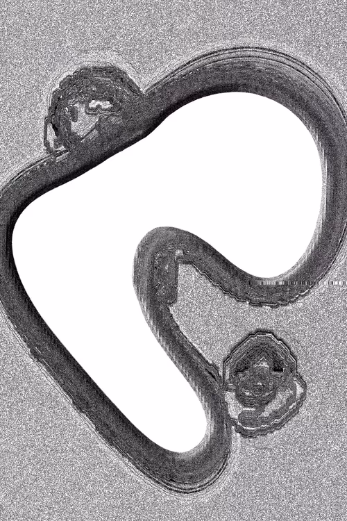 Item #49000038 Media