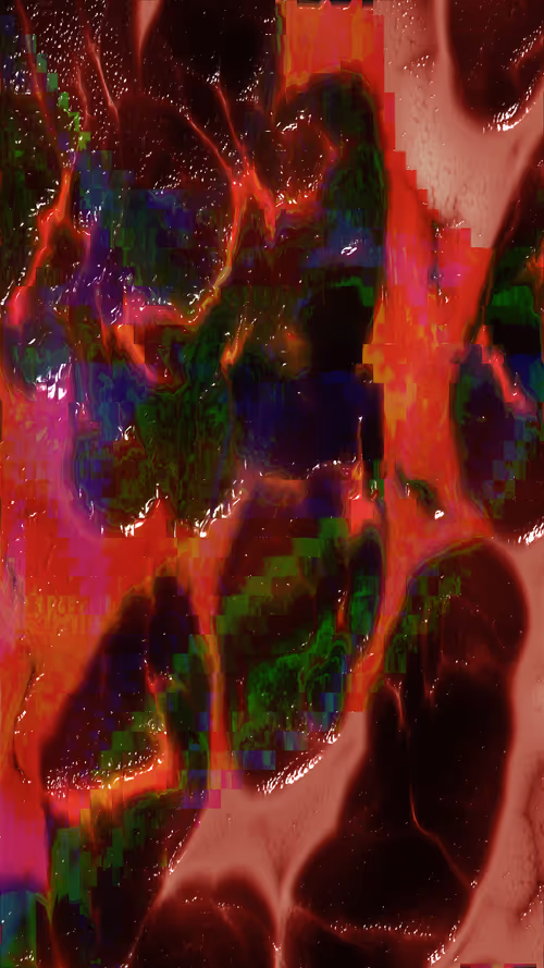 Item #67000049 Media