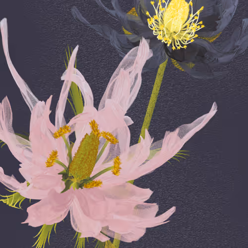 Delirium Blooms By Leonardo Solaas
