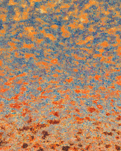 Item #29000015 Media