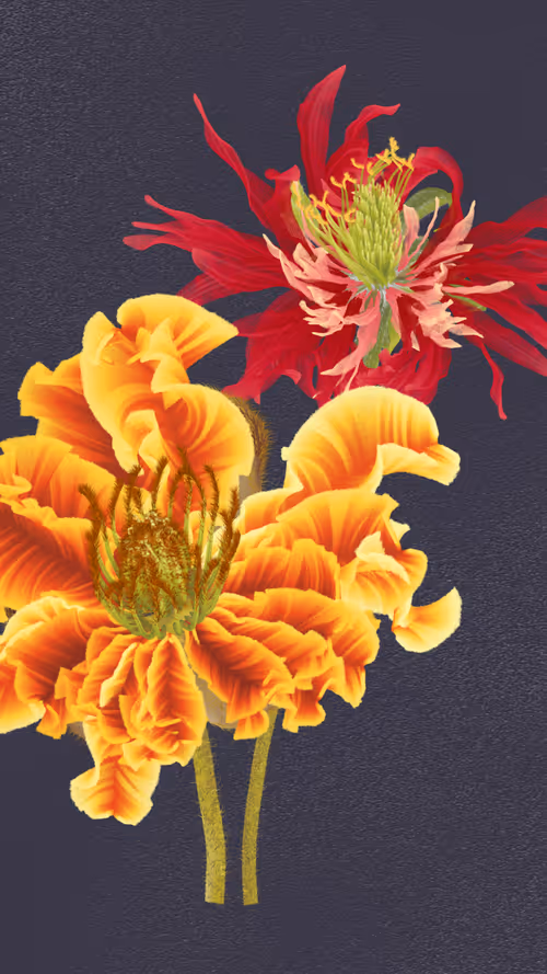 Item #66000088 Media