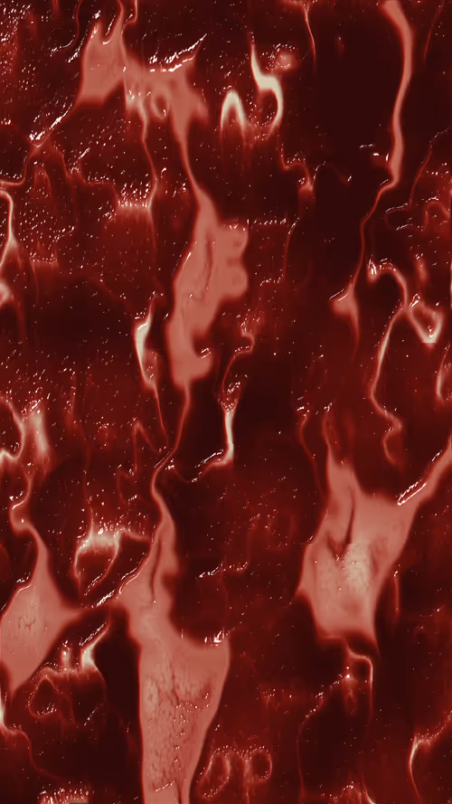 Item #67000018 Media