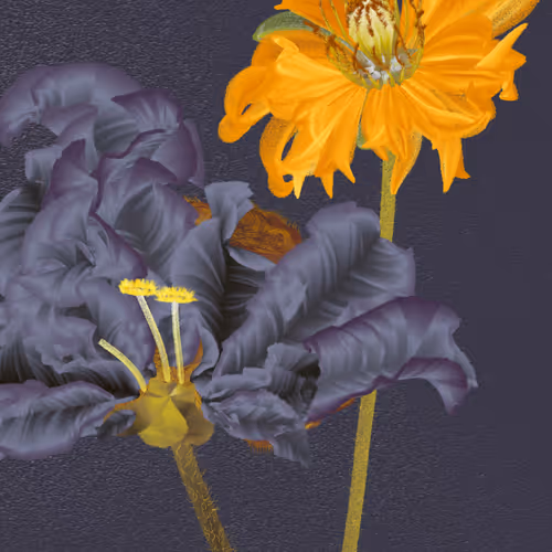 Delirium Blooms By Leonardo Solaas
