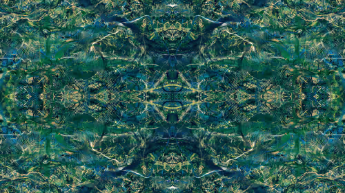 Item #21000072 Media