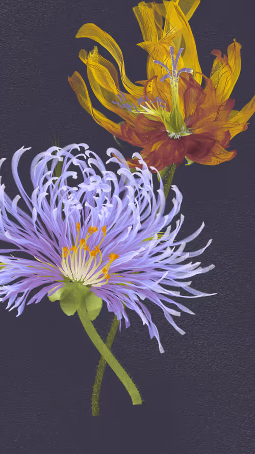 Item #66000010 Media