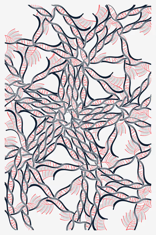 Item #37000140 Media