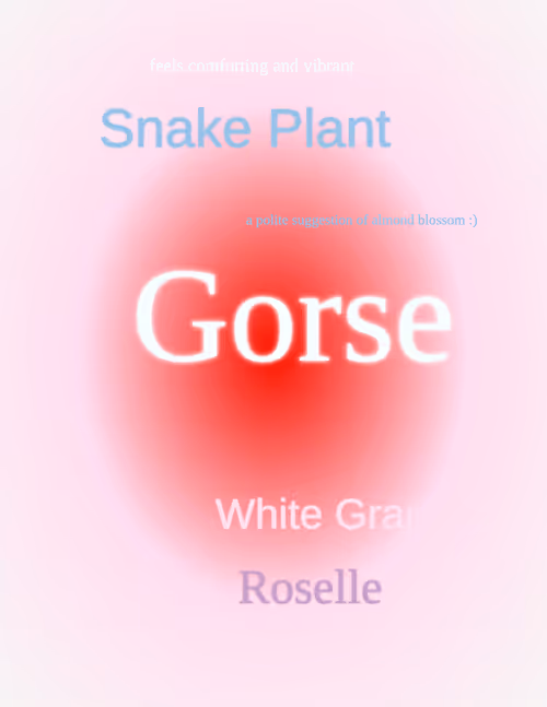 Item #83000040 Media