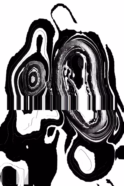 Item #49000072 Media