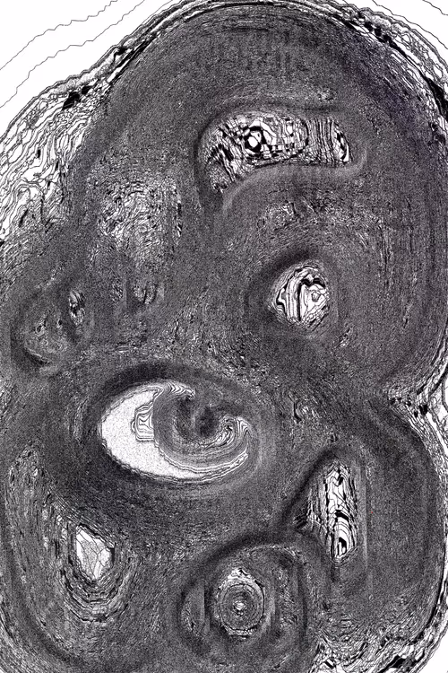 Item #49000023 Media