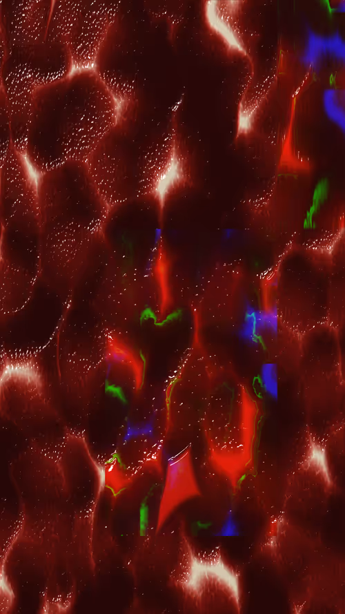 Item #67000063 Media