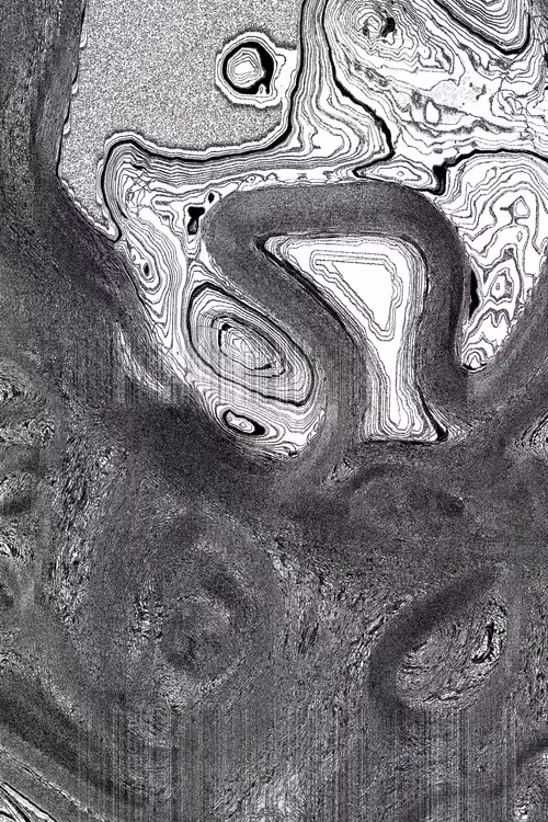 Item #49000027 Media