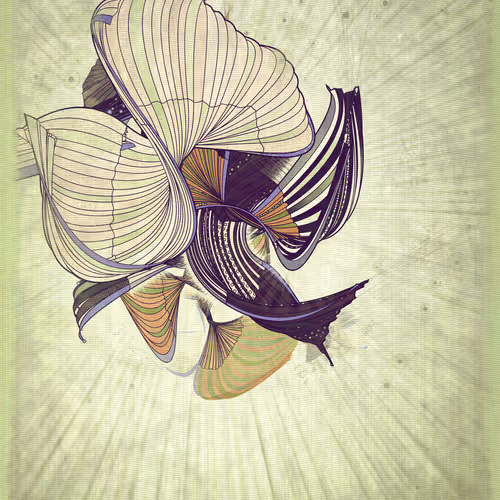 Velum #76